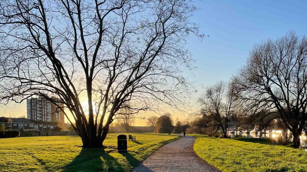 Winter sunset at Hurst Park with bare trees silhouetted against golden light, showing the riverside path, open green space, and Thames River where unauthorised boat mooring issues are being addressed by local action groups.