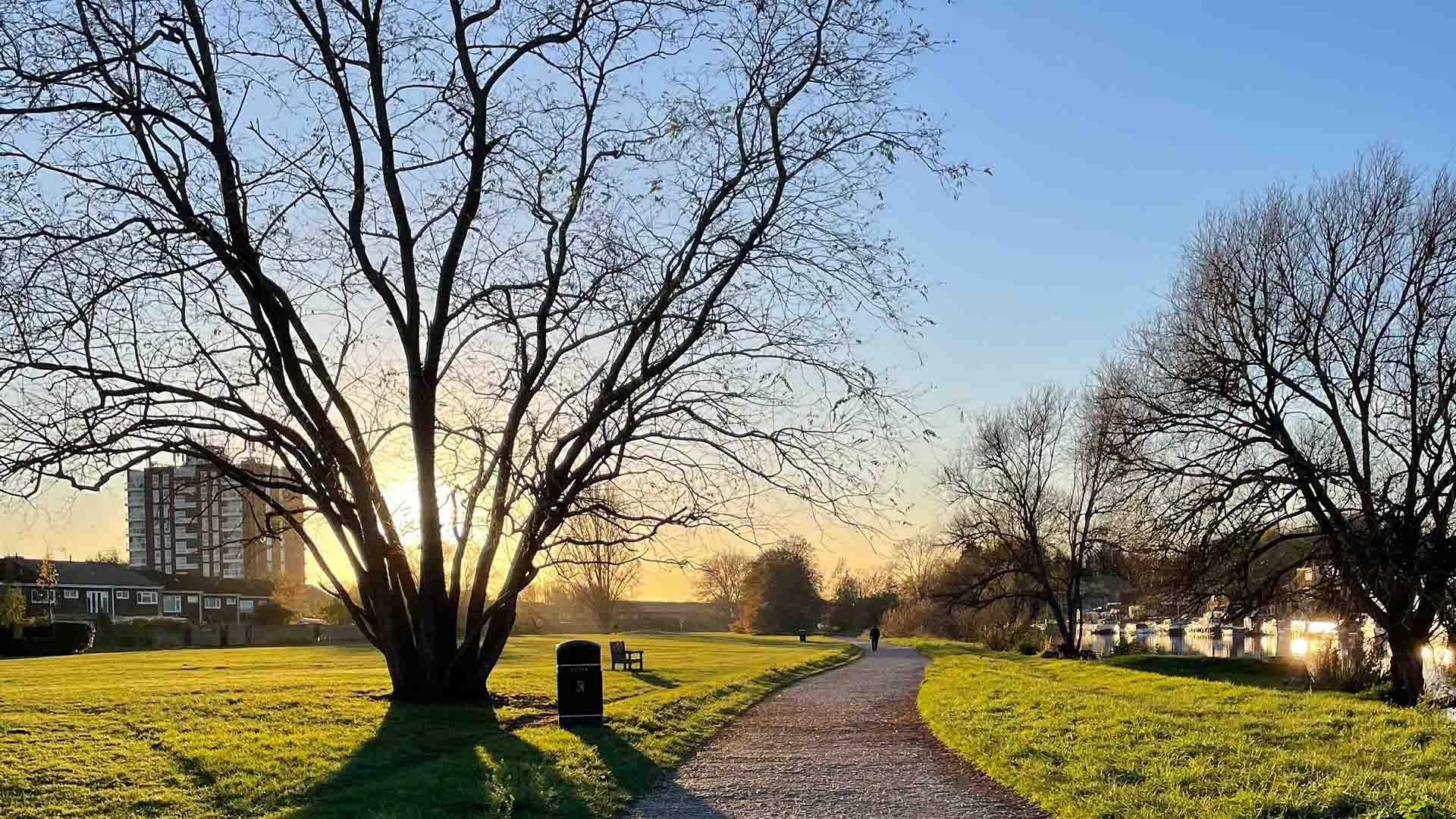 Winter sunset at Hurst Park with bare trees silhouetted against golden light, showing the riverside path, open green space, and Thames River where unauthorised boat mooring issues are being addressed by local action groups.