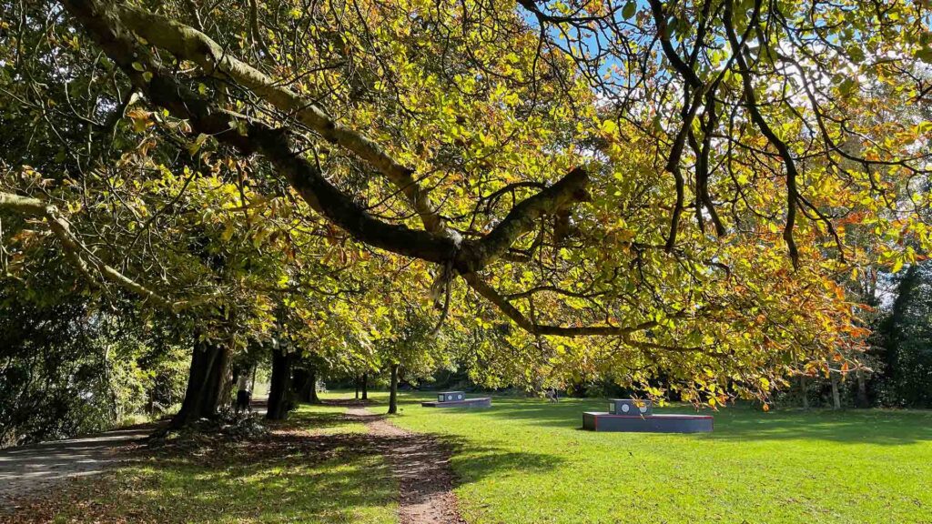 Autumn view of Hurst Park's protected green space with mature trees displaying golden foliage, a walking path, and open grass areas with bench installations, highlighting the natural areas HPRA works to preserve